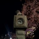 이마트24 온천벚꽃점 이미지