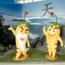 (주)스마트여행사 이미지