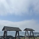 영락리 | 🐬[제주 돌고래 스팟] 운 좋으면 바로 만나요! 영락리 방파제 돌고래 출몰시간 공개 🐬🌊