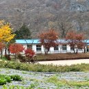 동강산장 이미지