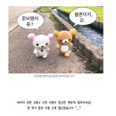 두바이 짐 | 두바이 이민 후기