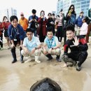 푸른바다 이미지