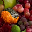 동행유니온 이미지