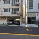 펫 소울 메이트 | 초보자 필수! 냄새 없고 A/S 확실한 부산 파충류샵 부산 연산동 '더사파리' 솔직 후기