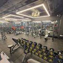 더피트니스 이미지