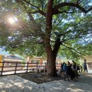 계곡산장 아래 이미지