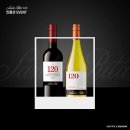 롯데와인 페이스북 120 인증샷 이벤트 - 롯데백화점 상품권, 문화상품권 증정 이미지