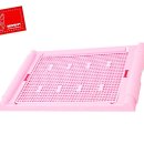 퍼피젤리 이미지