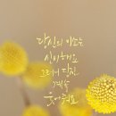 연꽃국수