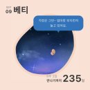 새소망약국 | 나의 첫 임신기록 · 아기천사가 된 베티