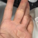 올리브영샴푸 추천 박준 단백질샴푸플러스 | LPP샴푸 근손상모 사용후기