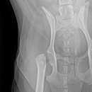 의정부 24시 IU 동물병원 이미지