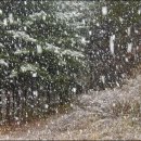 산천초목 이미지