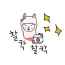 벨텍 이미지