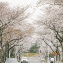 대륜세탁소 이미지