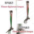 힙존짐