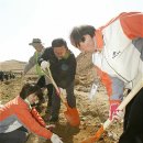 나무의원 이미지