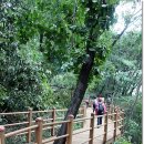 당산근린공원 이미지