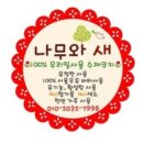 나무와새어린이집 이미지