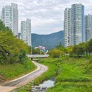 히스테릭마더