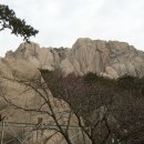 아포중학교 Daum카페