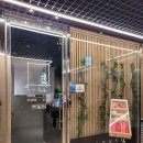 길세이로무시 이미지