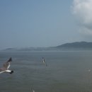 행복단란주점 이미지