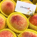 이종식농장 이미지