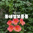 [은평 우리동네배움터] 가죽 공예 | [동네정보퐁퐁] 7월 2주차 은평/종로 정보를 띵동 (+만족도조사 이벤트)