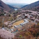 SNS홍보마케팅(야간) 이미지