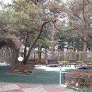 사랑태양광발전소 이미지