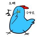 동동쓰 네이버블로그