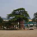용면초등학교 이미지