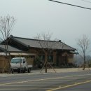 다실산유화