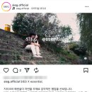 패션과 음악이 만났다! 지이크x에센셜 대전 5월 팝업 정보