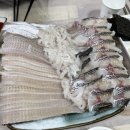 용궁회나라