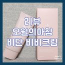 만주반점 | [리뷰/오월의아침] 촉촉한 파데프리 비비를 찾는다면 비단 비비크림 추천