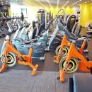 월드휘트니스 이미지