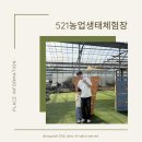 521 | 경기도 구리 생물도감 곤충박물관 521농업생태체험장 후기