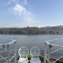 진안로 | 안성금광면맛집 세린디피디 쭈꾸미맛집 다녀온 후기