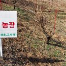 응달농장 이미지