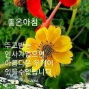매화산주유소 네이버블로그