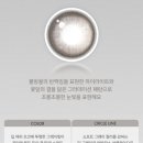 그레이츄 이미지