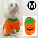 실용의상 이미지