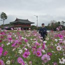 교촌마을 이미지