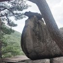 무릉도원면-10 이미지