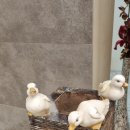 황경애한의원 이미지