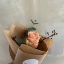 보태니컬 플랜(Botanical Plan) 이미지