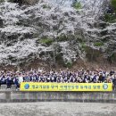 Ad Astra 이미지