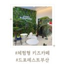 용호동 키즈카페 | 드포레스트 부산점 체험형 키즈카페